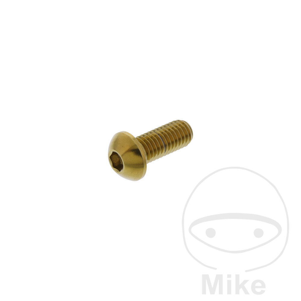 Schraube BremsscheibeM8X1.25 mm 20 mm Edelstahl V4A gold für z.B. BMW C1 125/200