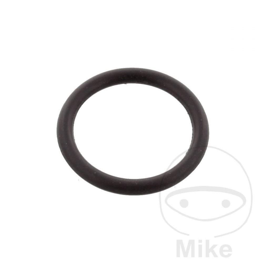 O - Ring Motor 2X15MM für BMW R nineT + Pure + Racer + Scrambler + Urban G/S