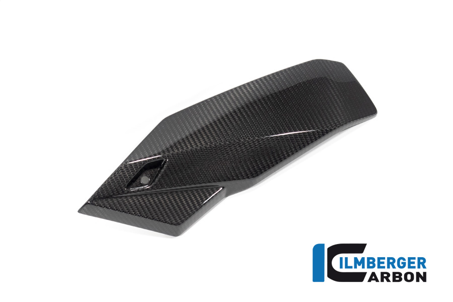 Carbon Motorspoiler links für BMW S 1000 R ab 2021 / M 1000 R ab 2023