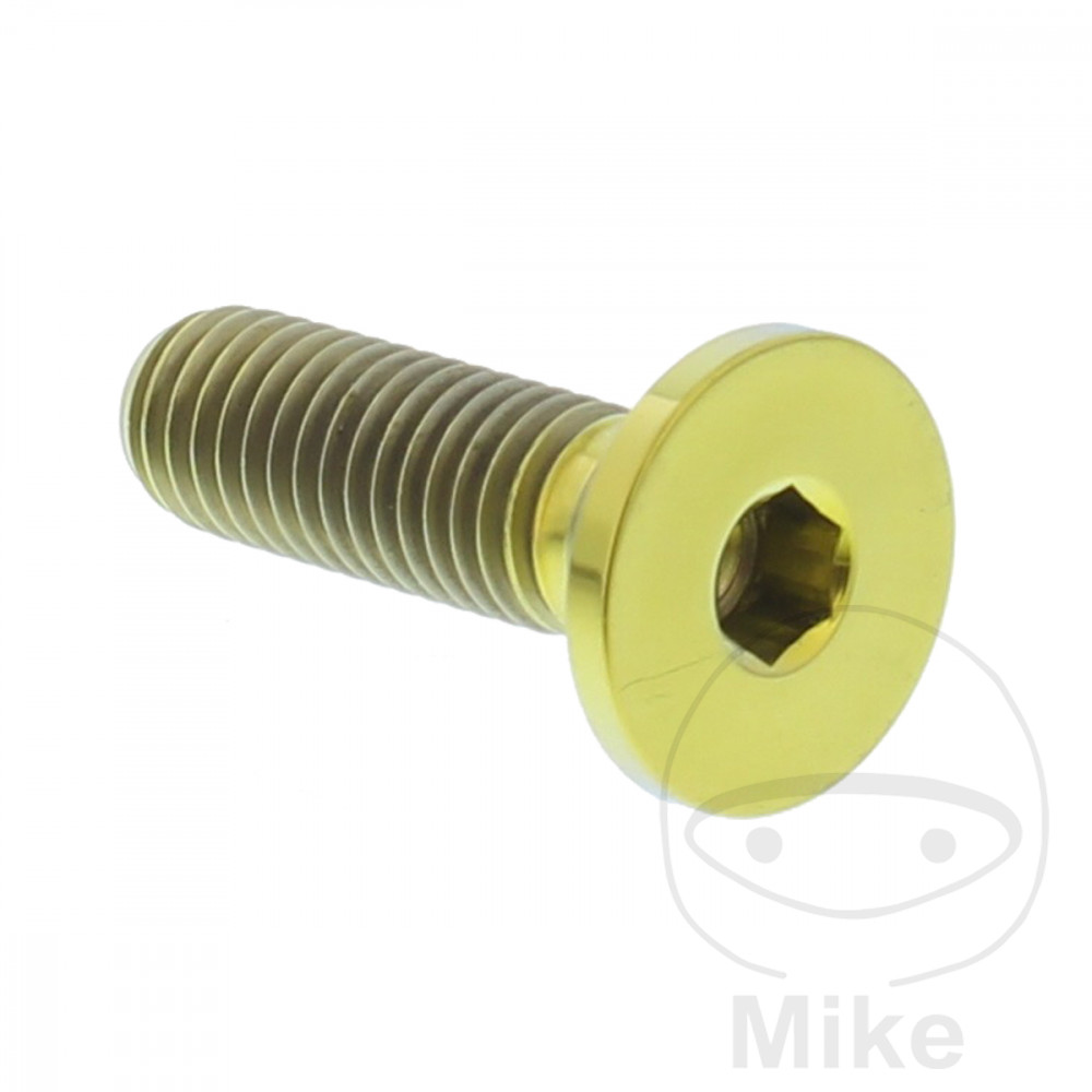 Schraube Bremsscheibe M8X1.25 mm 26 mm Titan gold für BMW F750GS F850GS + Adventure