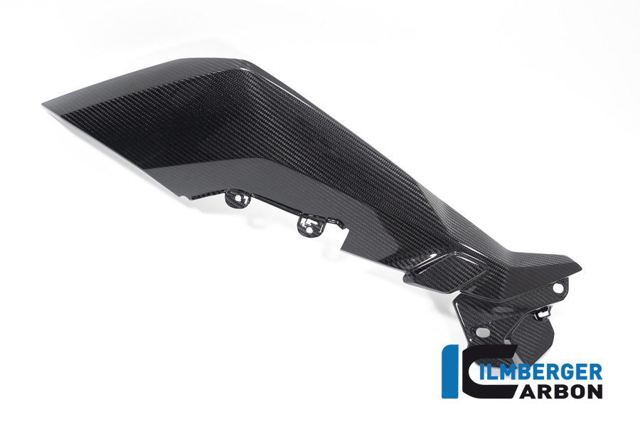 Carbon Verkleidungsseitenteil links für BMW S1000XR ab 2020 M1000XR ab 2024