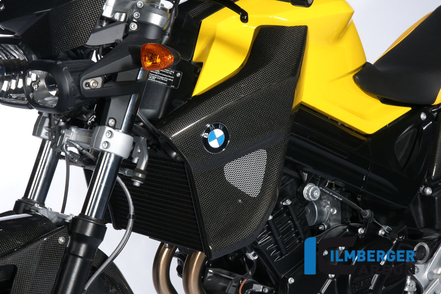 Carbon Kühlerverkleidung Verkleidung unten links für BMW F800R 2009-2011