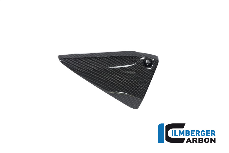 Rahmendreieckcover links BMW R 1250 GS / R 1250 R und RS