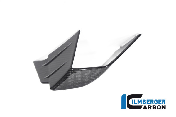 Carbon Winglet links für BMW M 1000 RR Bj 2021-2022