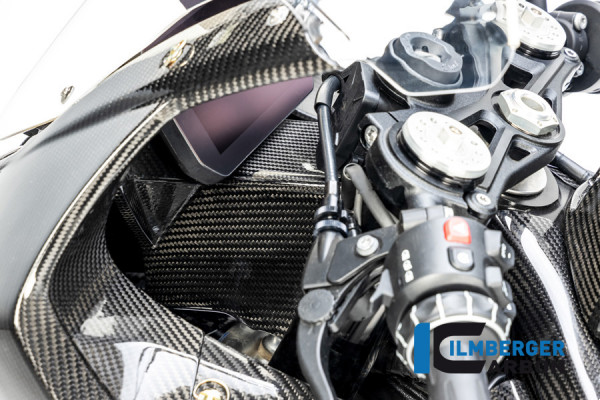 Carbon Instrumenteträger / Verkleidungshalter vorne für BMW S1000RR bis 22 M1000RR 21-22