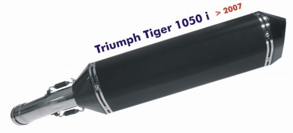 Endschalldämpfer Remus HexaCone Limited Edition schwarz, mit ABE, Triumph Tiger 1050i
