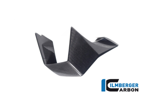 Carbon Winglet rechts für BMW M 1000 RR ab 2023